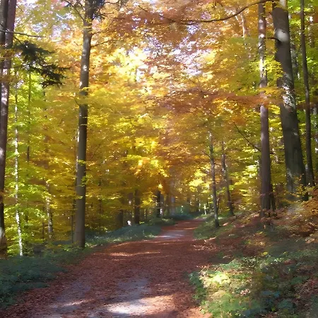 Ferienscheune Daire *