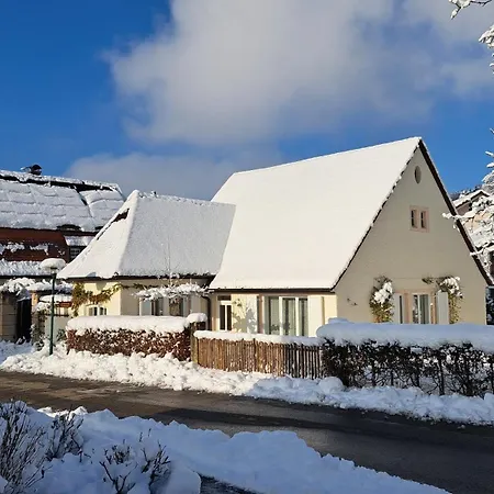 Daire Ferienscheune Daisendorf